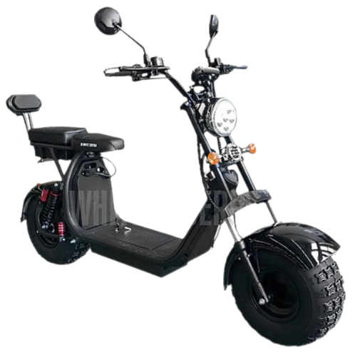 Remove-bg.ai_1732976745099